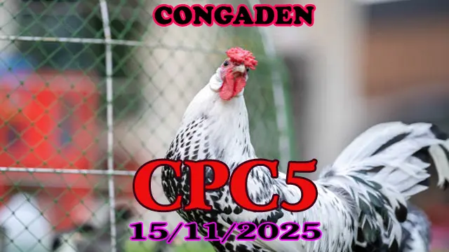 Trực Tuyến Đá Gà Thomo CPC5 Hôm Nay 15112025 Chuẩn HD