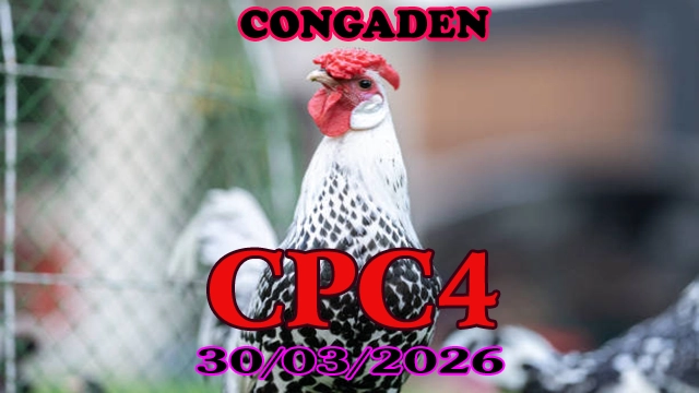 Clip Đá Gà Thomo CPC4 Hôm Nay 30032026