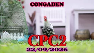Xem Video đá gà thomo CPC2 Hôm Nay 22092026